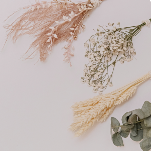 PRESERVED & DRIED FLOWERS / FOLIAGE